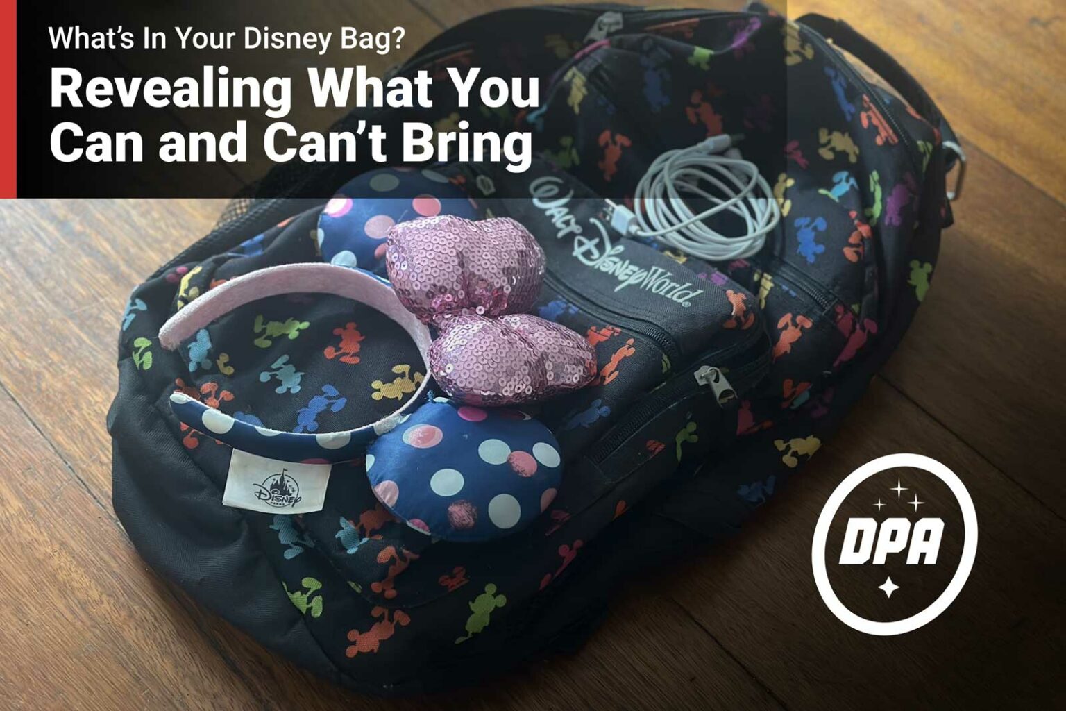What's in Your Disney Bag? Revealing What You Can and Can't Bring